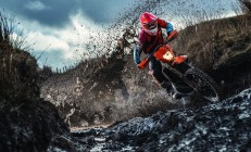 开云官方app入口-世界杯之夜，霍勒迪的自我救赎