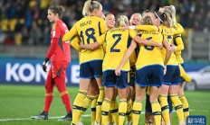 开云在线赛事平台-瑞典国家队在比赛中表现出色，取得胜利