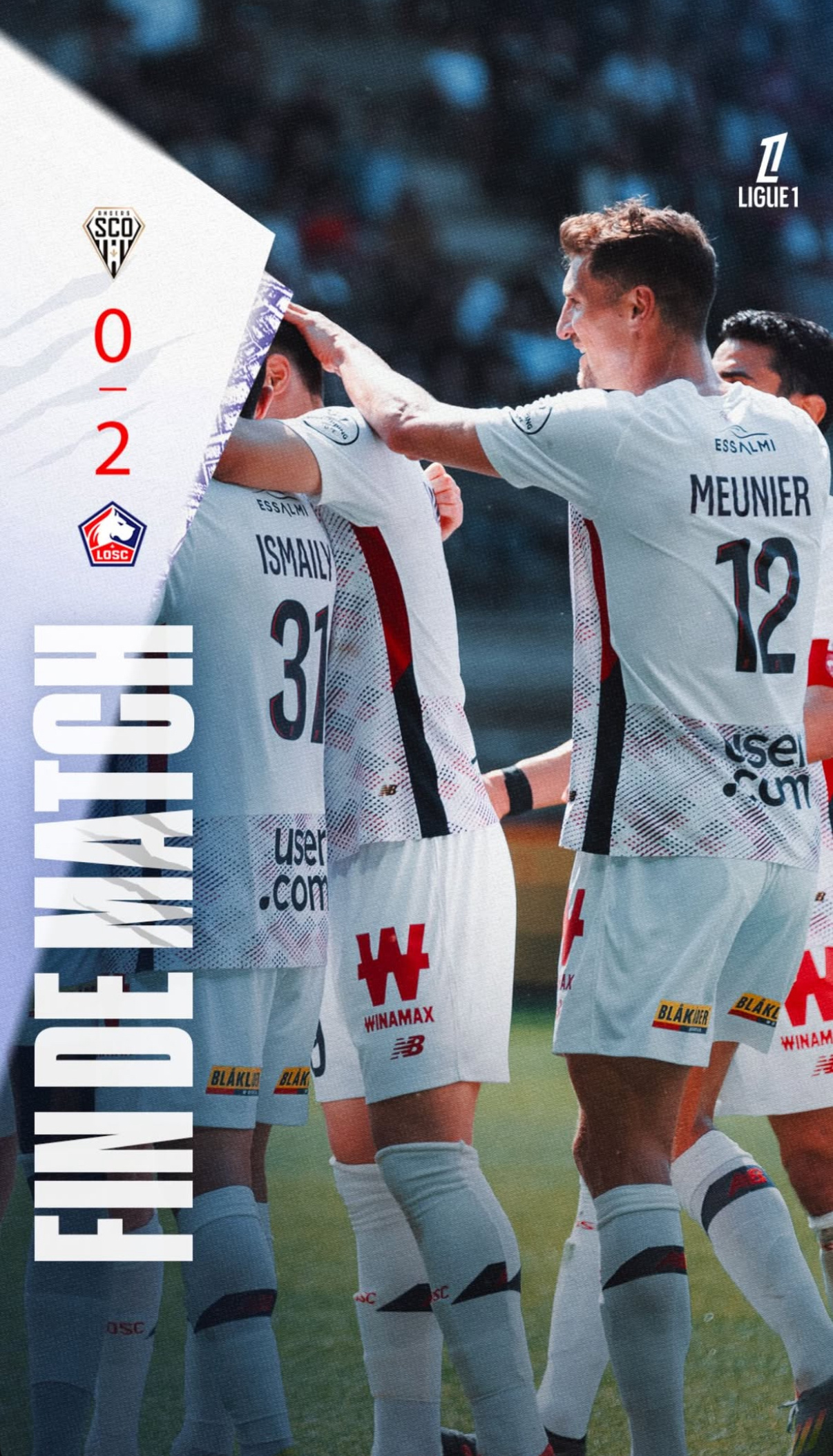 里尔主场大胜勒芒，领跑法甲积分榜的简单介绍