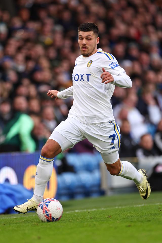 普利茅斯联主场战平，主教练解读争议判罚的简单介绍