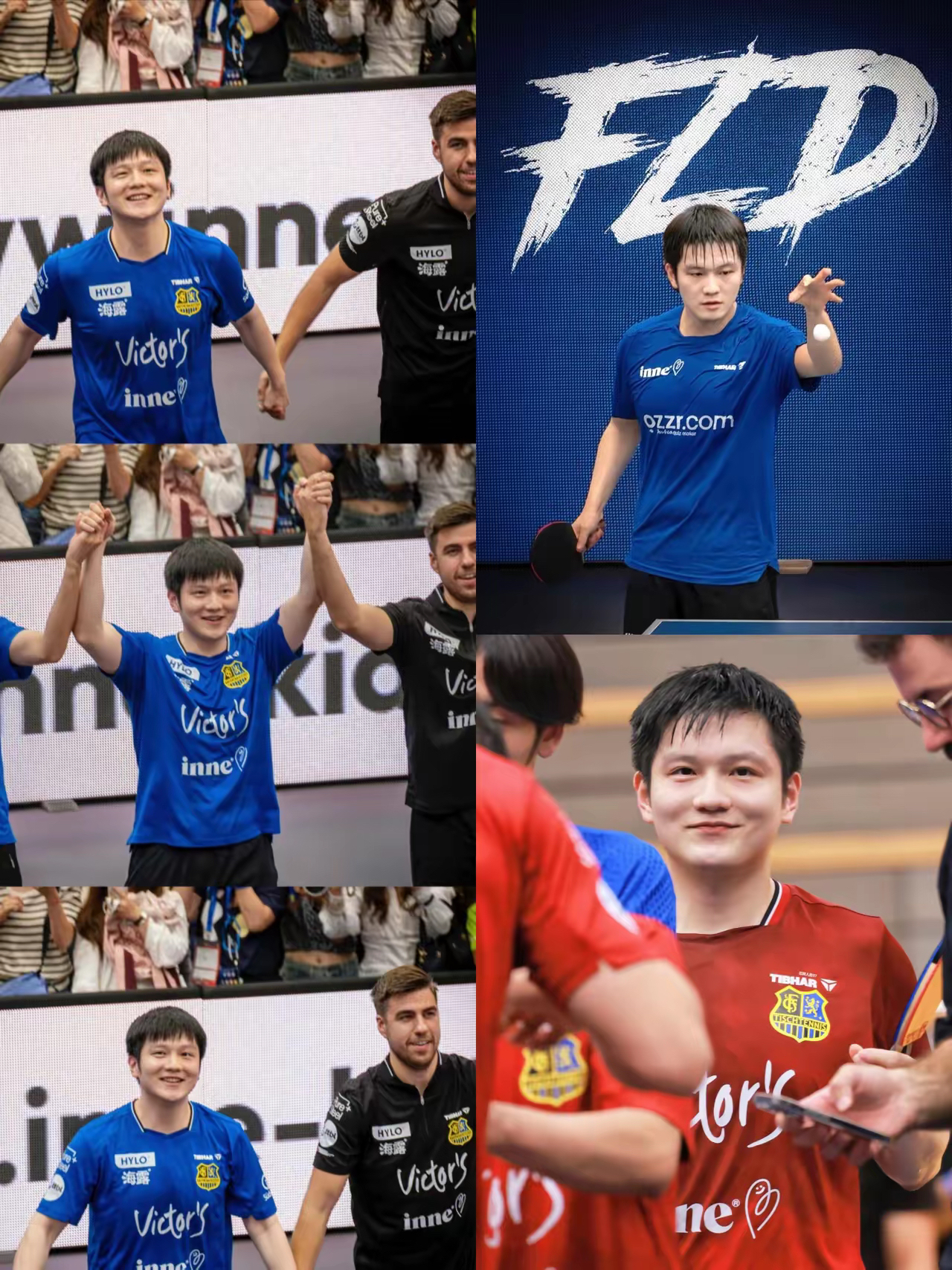 包含奥地利乒乓球队横扫德国乒乓球队，樊振东惊艳世界的词条