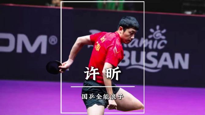 波兰乒乓球队力克中国乒乓球队,许昕制霸全场的简单介绍 波兰乒乓球队力克中国乒乓球队,许昕制霸全场的简单介绍