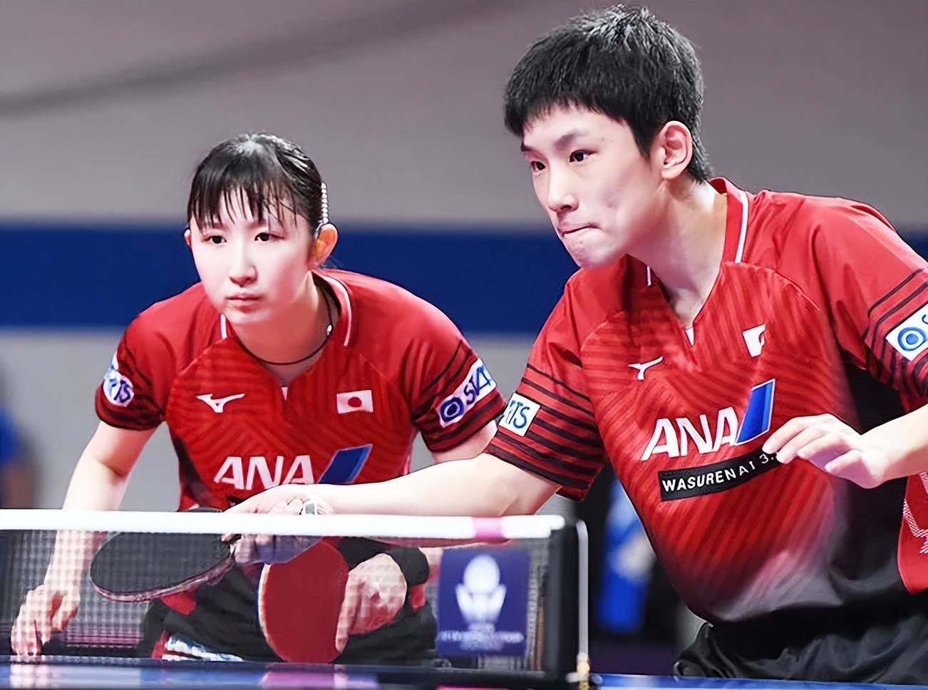韩国乒乓球队爆冷波兰乒乓球队,张本智和制霸全场的简单介绍 韩国乒乓球队爆冷波兰乒乓球队,张本智和制霸全场的简单介绍