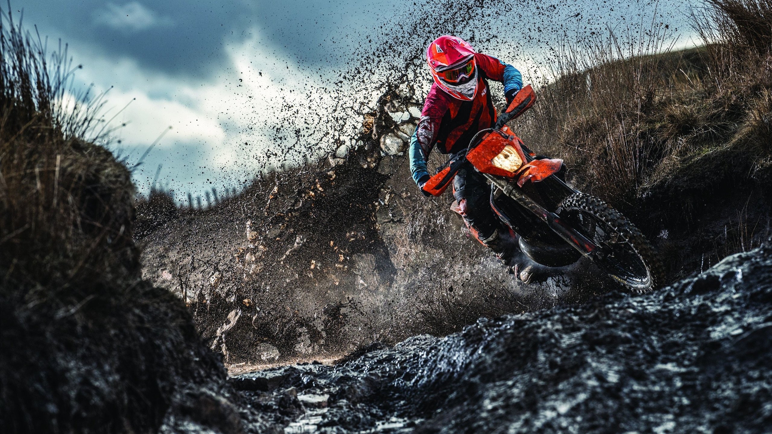 硬仗之王的加冕礼,哈利伯顿与国王的生死战启示录