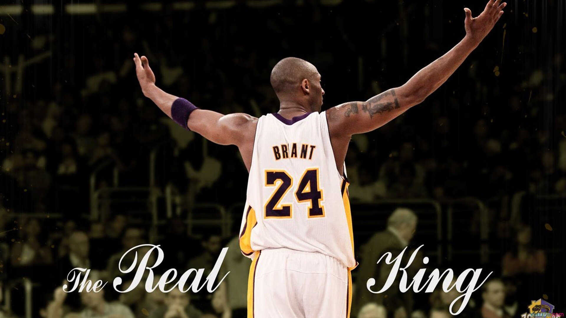 北境之墙轰然倒塌，伦纳德单骑破阵，公牛如何让猛龙防线沦为背景